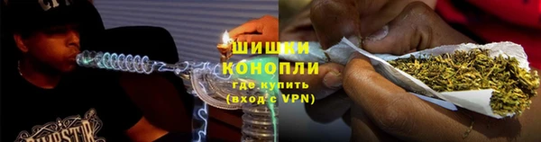 молекула духа Бронницы