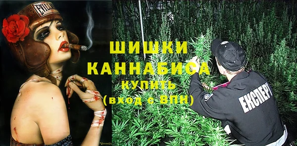 молекула духа Бронницы