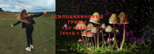 молекула духа Бронницы